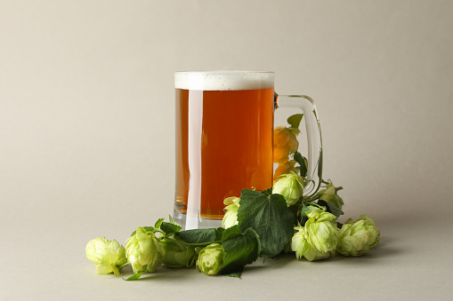 Glass of beer and hop on gray background