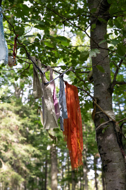 istock various collected garbage from forest hanging in a tree with medical mask and plastic, environment problems 1272466744