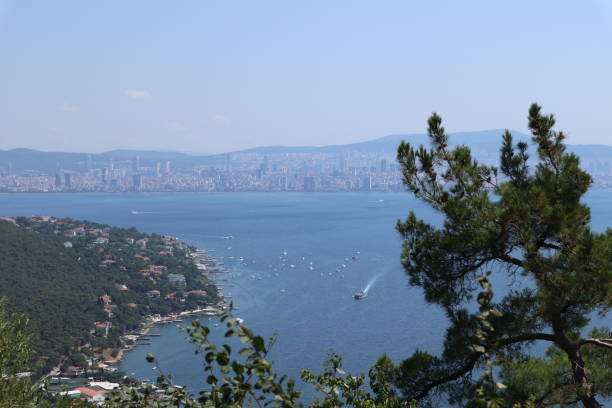 istock Sea from princess islands 1272466815