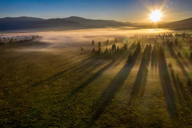 Aerial view of a magic sunrise in a valley and a forest in the early morning fog. Carpathian Mountains, Transylvania, Romania. Exact location is the area of Hargita.