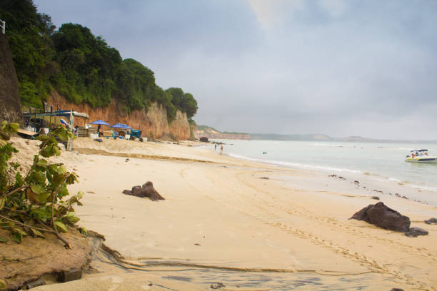 istock beautiful beach landscape on a very beautiful day 1272468499