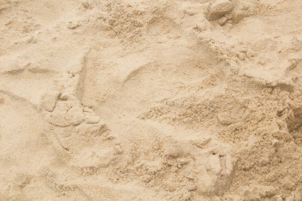 istock beautiful beach landscape on a very beautiful day 1272469254