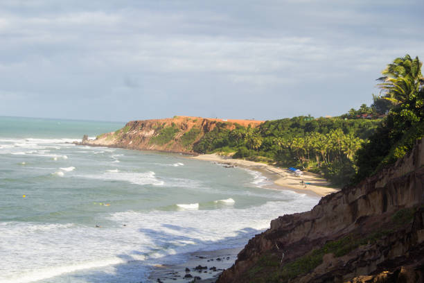 istock beautiful beach landscape on a very beautiful day 1272470911