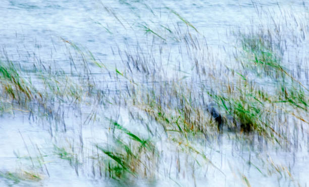 istock Abstract nature. Motion blur background. Colorful nature background. 1272471019