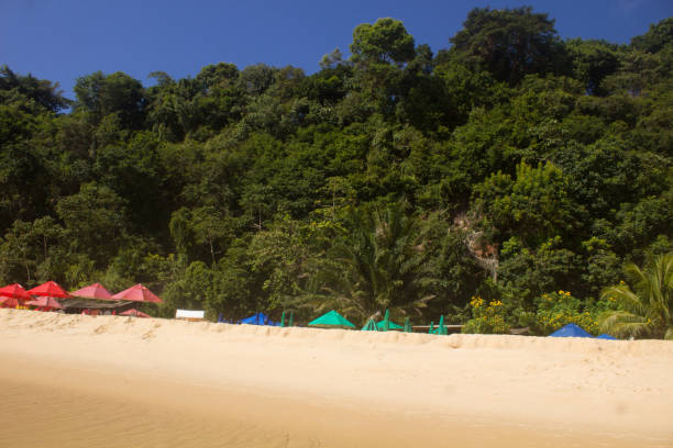 istock beautiful beach landscape on a very beautiful day 1272471037