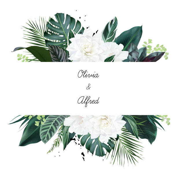 White gardenia, hibiscus, green monstera, palm tropical leaves horizontal card White gardenia, hibiscus, green monstera, palm tropical leaves horizontal card. Emerald exotic greenery, black marbled pattern frame. Island wedding banner. Elements are isolated and editable zebra plant stock illustrations