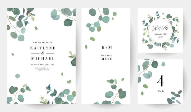 Herbal eucalyptus selection vector frames Herbal eucalyptus selection vector frames. Hand painted branches, leaves on white background. Greenery wedding simple minimalist invitations. Watercolor style cards.Elements are isolated and editable eucalyptus tree stock illustrations