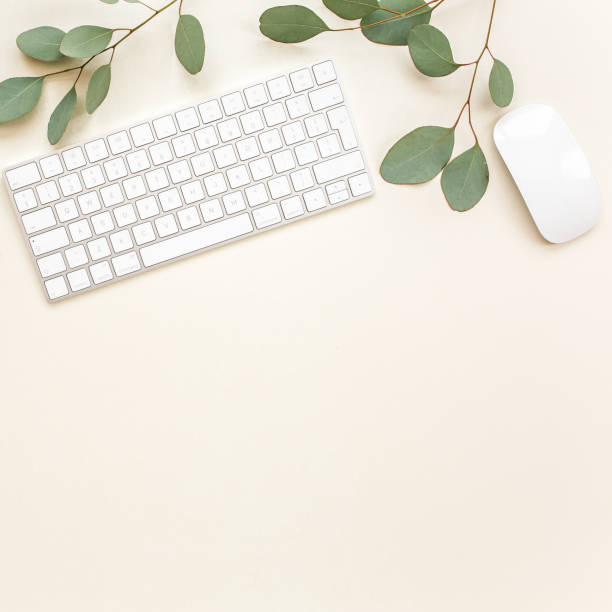 Flat lay home office desk. Female workspace with computer, plate sheet monstera, golden accessories, eucalyptus leaves, on beige background. Top view
