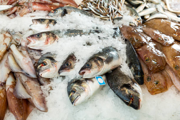 istock Seafood showcase of fish store 1272472496