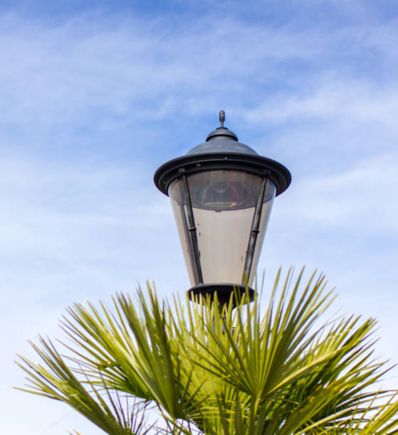 レトロスタイルの街灯とパルメットツリー - day vertical palmetto south carolina ストックフォトと画像