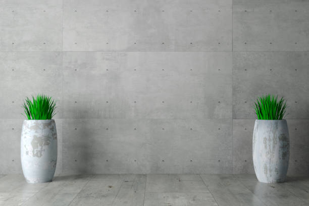 istock Gray wall concrete monolithic background and plant in pots 1272473874
