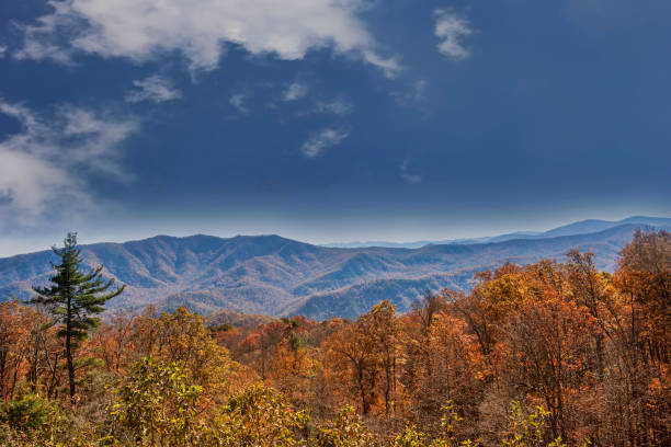 istock Blue Ridge Mountains in Autumn 1272474309