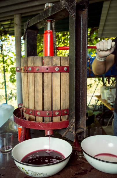 istock Wine harvest. A master winemaker is setting up a grape press. Freshly squeezed grape juice in a glass. Autumn is the time of grape harvest and wine making. 1272474660