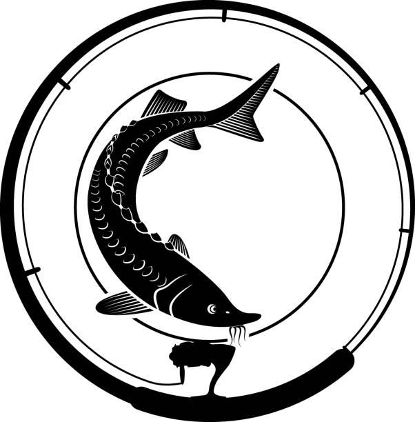 fishing badge fishing badge with sturgeon fish and fishing rod sturgeon fish stock illustrations