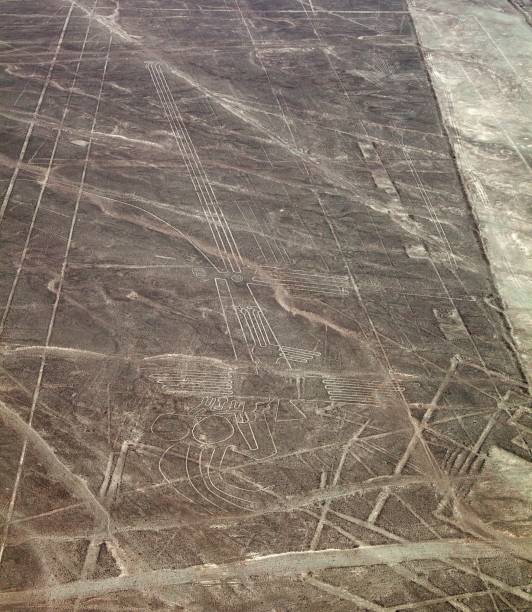 istock pelican geoglyph, Nazca mysterious lines and geoglyphs 1272480774