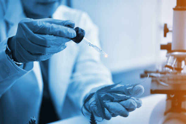 istock Woman scientists researching in laboratory 1272482457