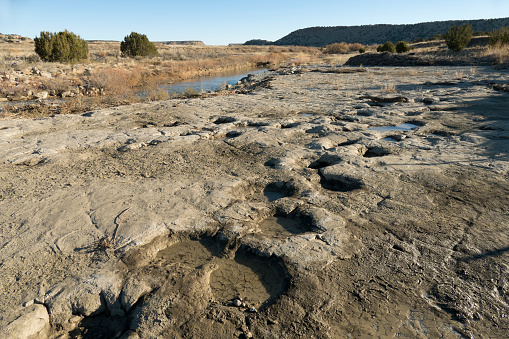 Jurassic Apatosaurus sauropod dinosaur tracksite Purgatoire River Colorado