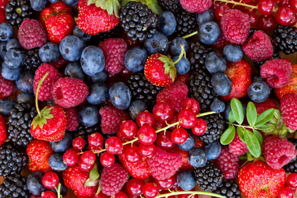 istock bluberry, raspberry, blackberry and red currrunt 1272484485