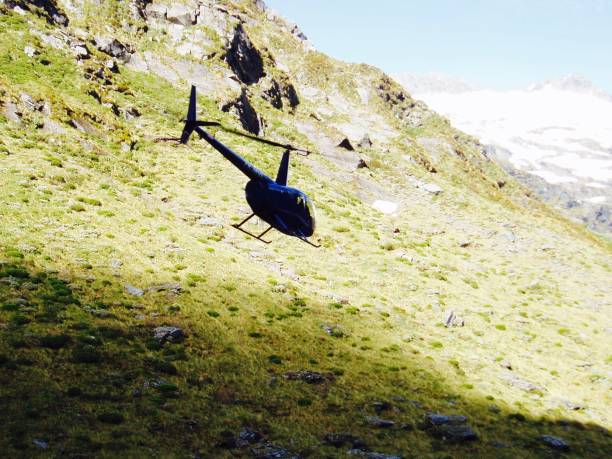 istock Mount Aspiring National Park 1272485883