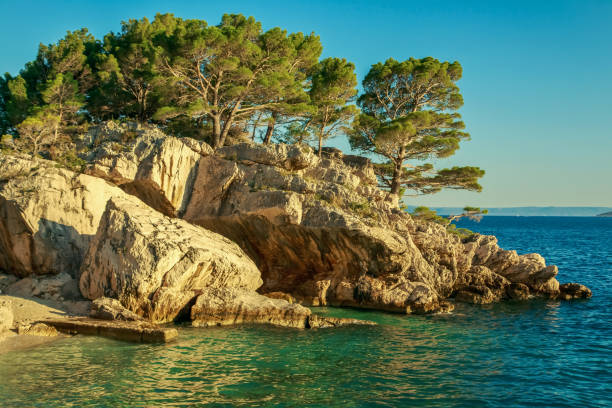 istock Sea and coastal rocks 1272488360