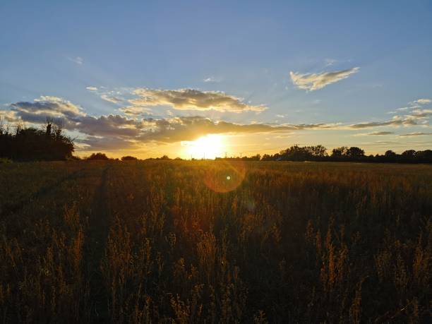 istock Sunset over farmland 1272488484