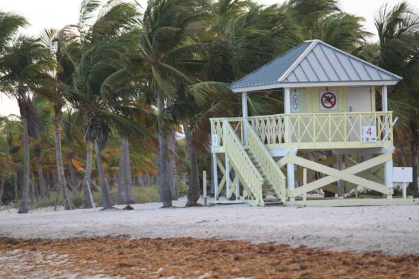 istock Crandon Park Key Biscayne Beach in Miami Florida 1272491736