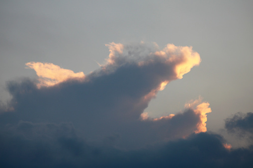 Fregat bird birds flock are flying around with blue sky clouds background. High quality photo