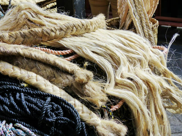 istock Ropes from natural fiber 1272500095