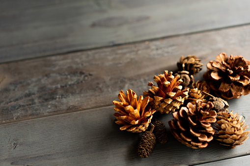 Lots of pine cones on the wooden table