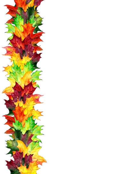 istock Backgrounds, posters with watercolor maple leaves. Autumn design templates. Hand drawn style. Illustration 1272506595