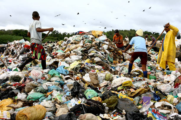 kolektory do recyklingu śmieci - landfill garbage dump garbage bird zdjęcia i obrazy z banku zdjęć