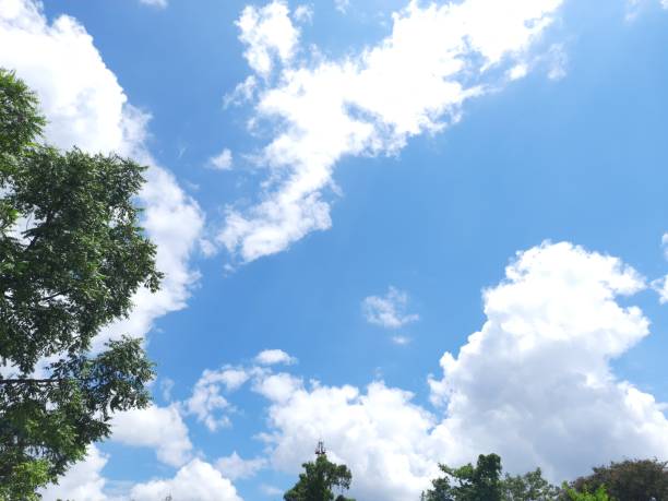 istock Clean blue sky in covid-19 lockdown. 1272509045