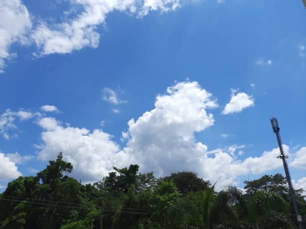 Clean blue sky in covid-19 lockdown. Very beautiful green tree and blue sky  background.  Blue sky in the clean air in the lockdown. Blue sky and white cloud.