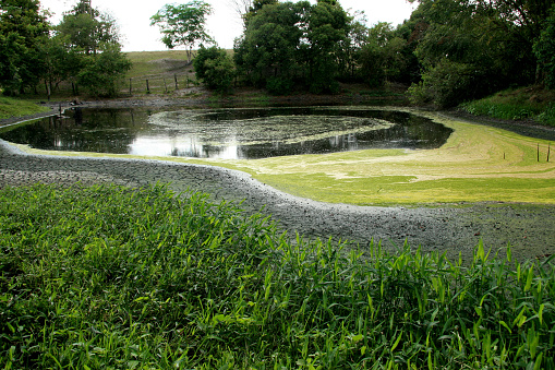 eunapolis, bahia / brazil - october 21, 2008: industrial waste water pond is seen in the city of Eunapolis, in southern Bahia.\