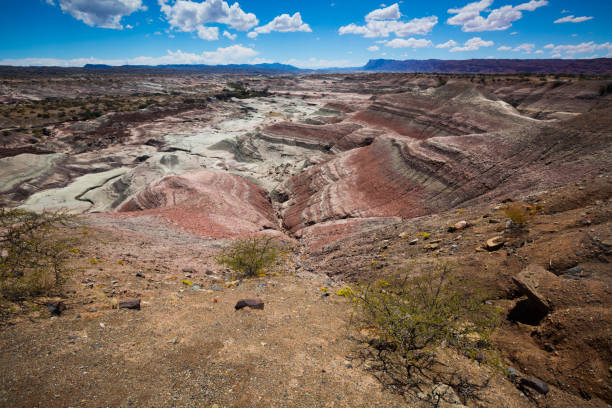 istock Stony landscape in Ischigualasto Provincial Park 1272509950