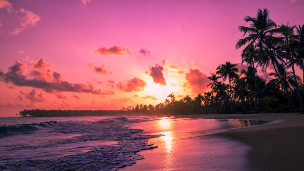 istock Pink sunrise on a tropical beach. 1272511834