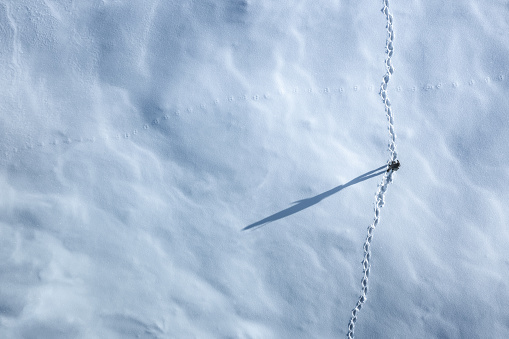 Aerial view on a man hiking through the fresh snow.