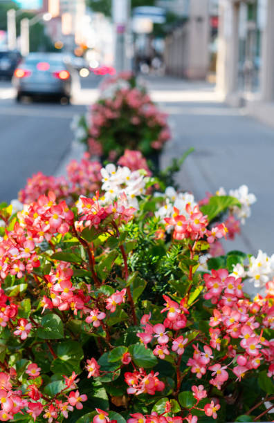 istock City Street Vertical 1272511943