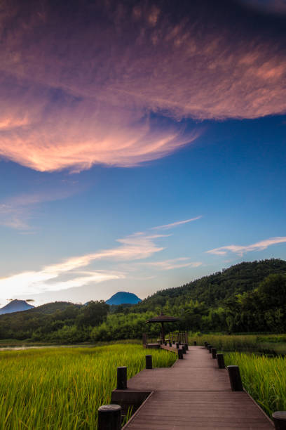 istock Kagurameko dusk 1272514784