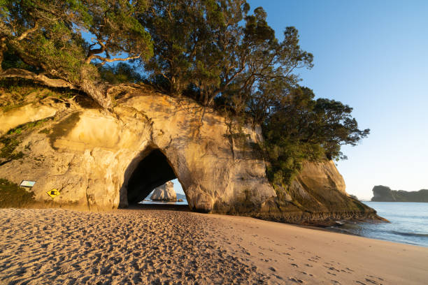 istock Over-hanging trees and shadows on rock wall Coromandel 1272519841