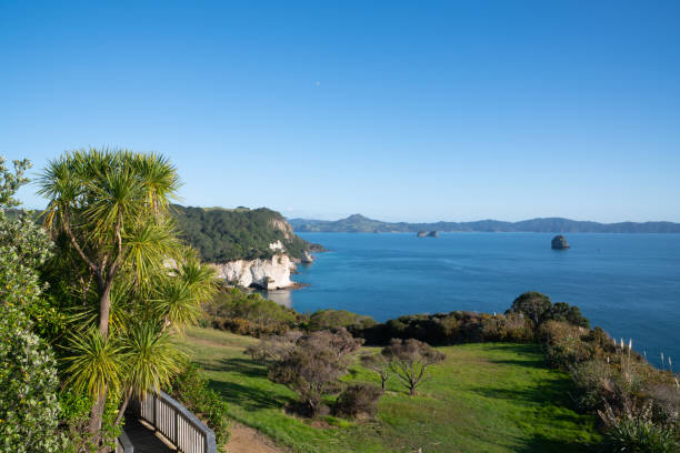 istock Coastal outlook from car park for Cathedral Cove 1272520003