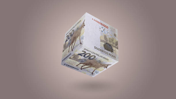 cube fait avec un billet de banque brésilien de deux cents reais. - loup à crinière photos et images de collection