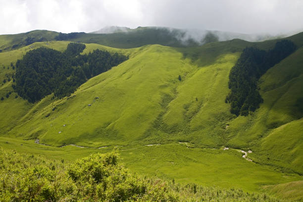 istock Bald Mountain Prairie Taiwan 1272525557