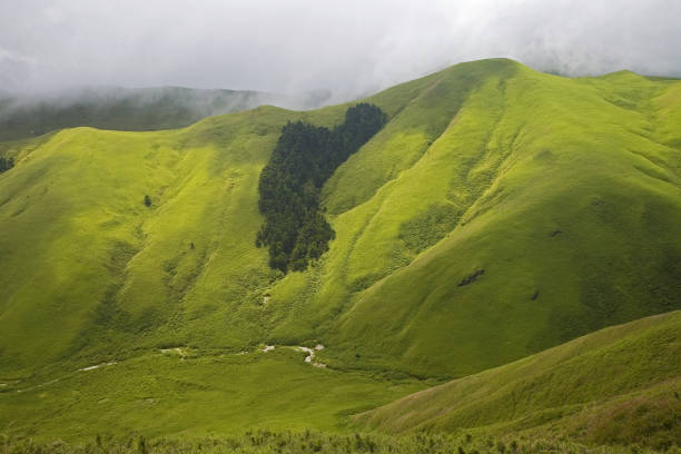 istock Bald Mountain Prairie Taiwan 1272525645