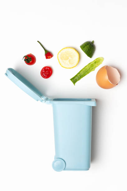 Organic waste and trash bin on white background close-up, top view