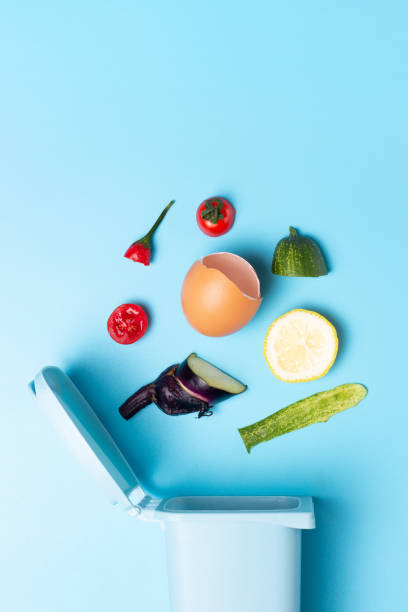 istock Organic waste and trash bin on blue background, concept of garbage sorting 1272525707