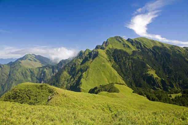 istock Nenggao Nanfeng Nanling Grassland Taiwan 1272526327