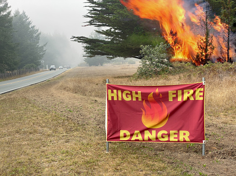 Wildfire warning sign with fire in tree by road in northern California