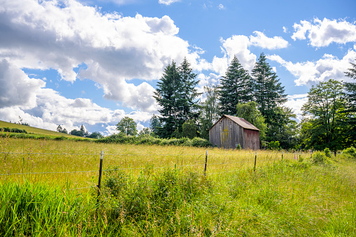 Rural summer landscape with old rickety wooden hay barn standing under tall trees at the edge of a fenced meadow with lush green grass and cloudy sky  is soothing and appealing to nature lovers