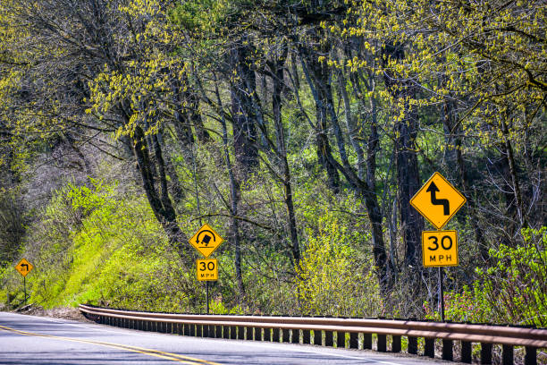 istock Winding road with warning road signs and guard passes through Spring forest with blossoming trees in the hills 1272531646